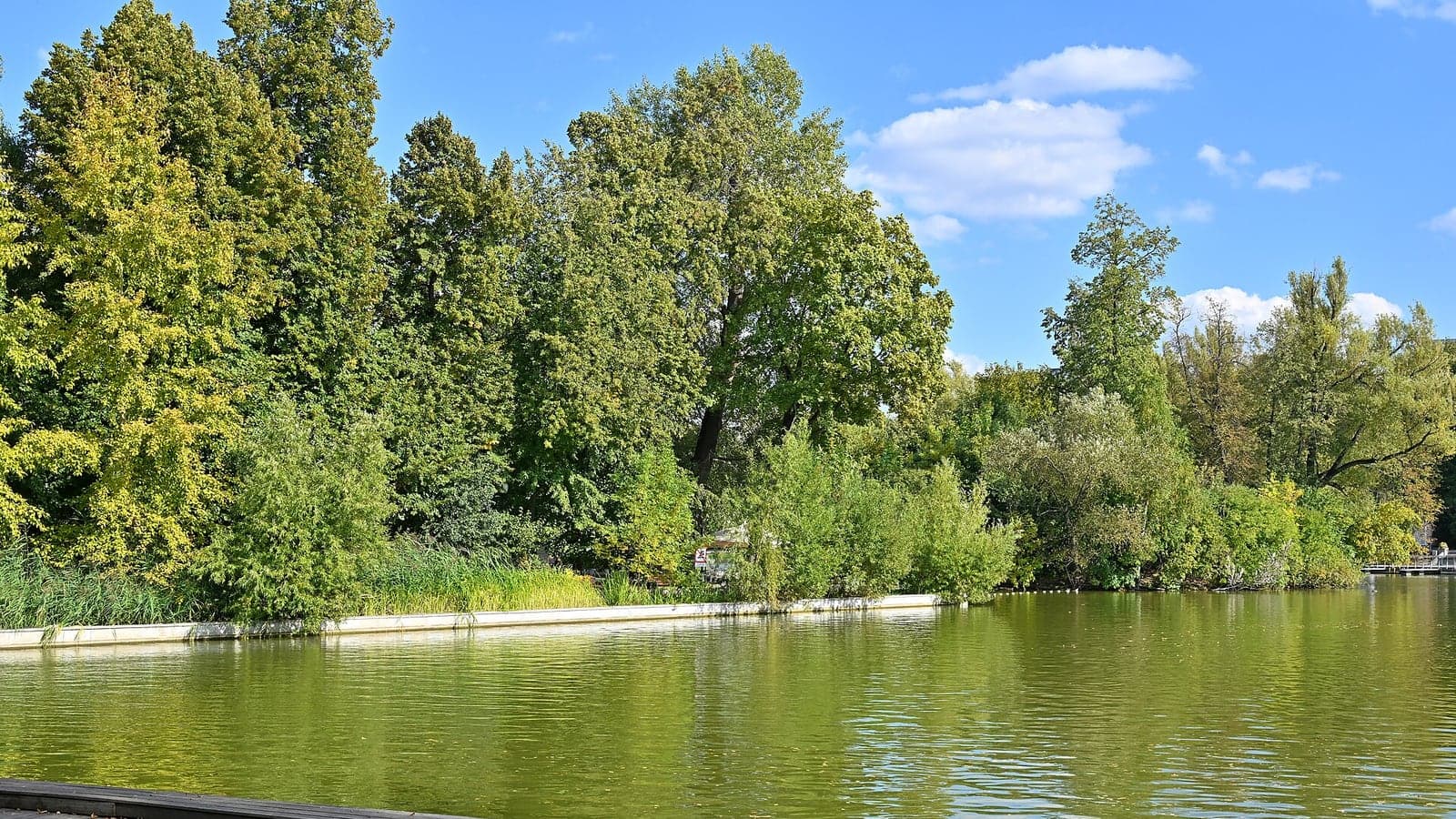 Пруд, зелень и прогулочная дорожка в Парке Горького